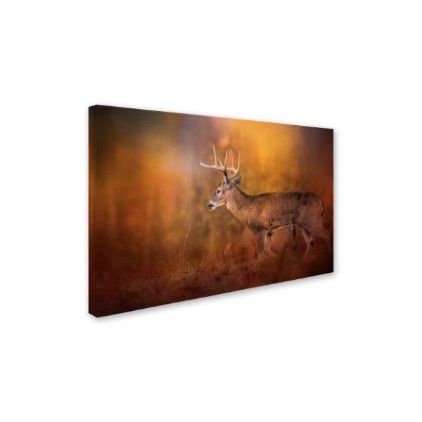 Jai Johnson 'Big Buck In Autumn' Canvas Art,22x32